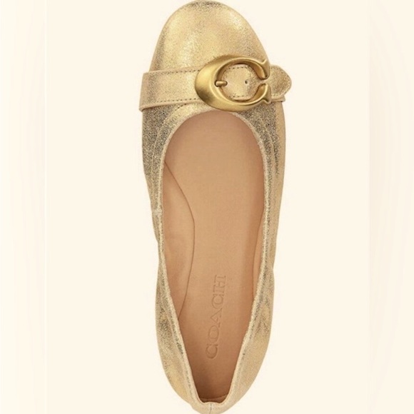 NWOT - Coach Stanton Ballet Leather Flats - Picture 1 of 4
